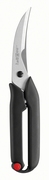 Zwilling Wildschaar