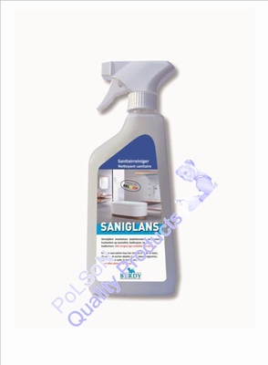 SANIGLANS TRIGGER 0,5L SANITAIRREINIGER BERDY 1st