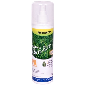 Clean Air Spray Ambiance - 250 ml