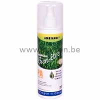 Clean Air Spray Ambiance - 250 ml