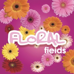 Mini Floral Fields minivulling 100ml/65gr. 3000shots /12 st