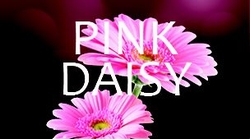Mini Pink Daisy minivulling 100ml/65gr. 3000shots /12 st