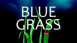 Mini Blue Grass minivulling 100ml/65gr. 3000shots /12 st