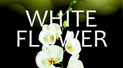 Mini White Flower minivulling 100ml/65gr. 3000shots /12 st